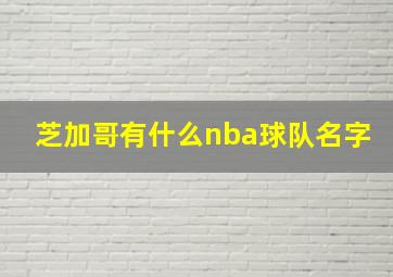 芝加哥有什么nba球队名字