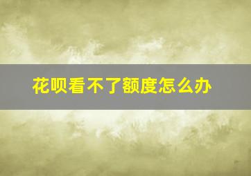 花呗看不了额度怎么办