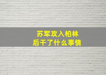 苏军攻入柏林后干了什么事情