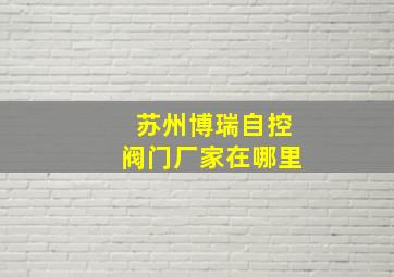 苏州博瑞自控阀门厂家在哪里