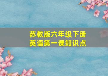 苏教版六年级下册英语第一课知识点