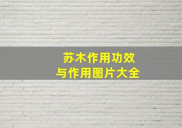 苏木作用功效与作用图片大全