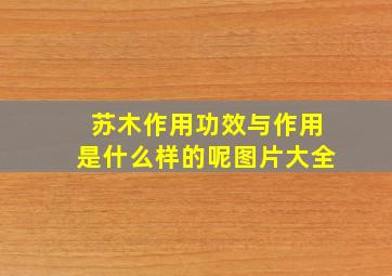 苏木作用功效与作用是什么样的呢图片大全