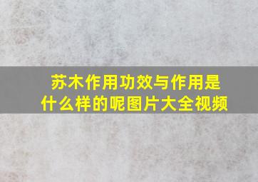 苏木作用功效与作用是什么样的呢图片大全视频