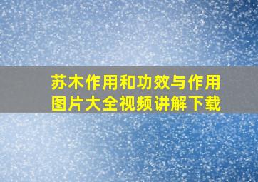 苏木作用和功效与作用图片大全视频讲解下载