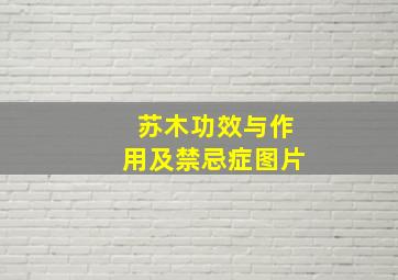 苏木功效与作用及禁忌症图片