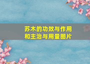 苏木的功效与作用和主治与用量图片