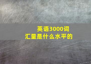 英语3000词汇量是什么水平的