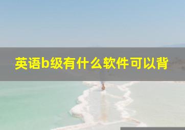 英语b级有什么软件可以背