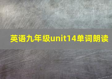 英语九年级unit14单词朗读