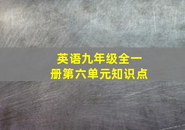 英语九年级全一册第六单元知识点