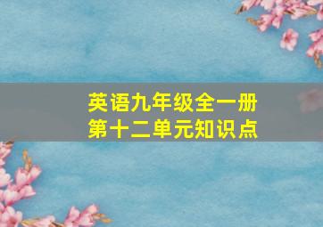 英语九年级全一册第十二单元知识点