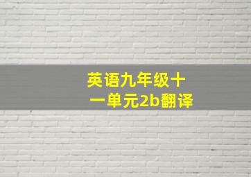 英语九年级十一单元2b翻译