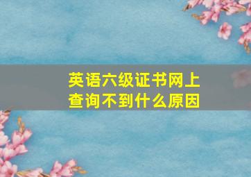 英语六级证书网上查询不到什么原因