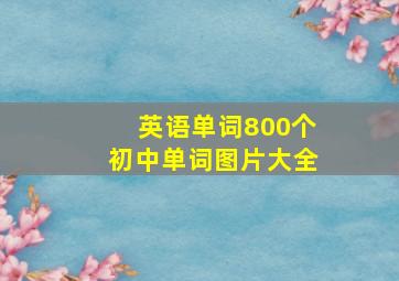 英语单词800个初中单词图片大全