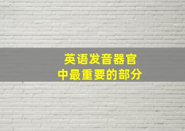 英语发音器官中最重要的部分