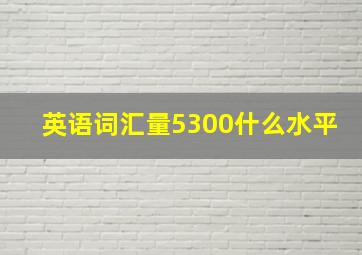 英语词汇量5300什么水平