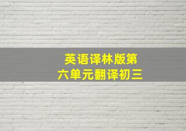 英语译林版第六单元翻译初三