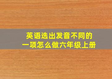 英语选出发音不同的一项怎么做六年级上册