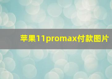 苹果11promax付款图片