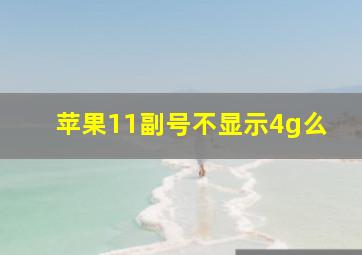 苹果11副号不显示4g么