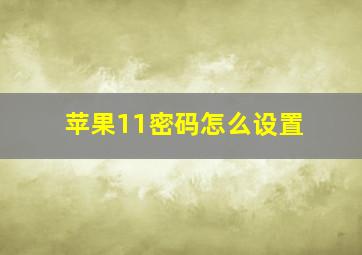 苹果11密码怎么设置