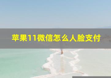 苹果11微信怎么人脸支付