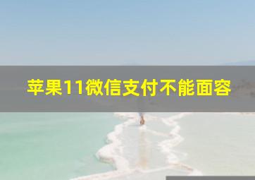 苹果11微信支付不能面容