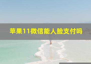 苹果11微信能人脸支付吗