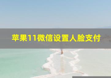 苹果11微信设置人脸支付