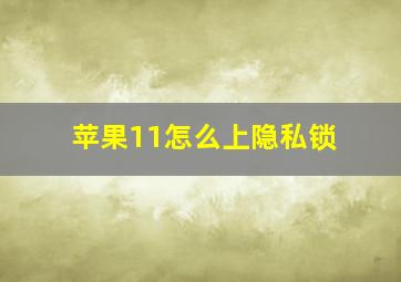 苹果11怎么上隐私锁