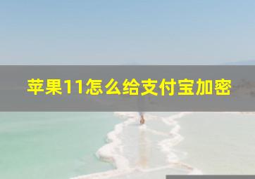 苹果11怎么给支付宝加密