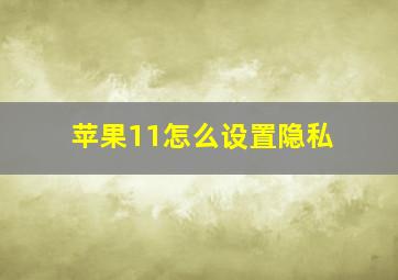 苹果11怎么设置隐私