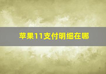 苹果11支付明细在哪