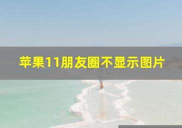 苹果11朋友圈不显示图片