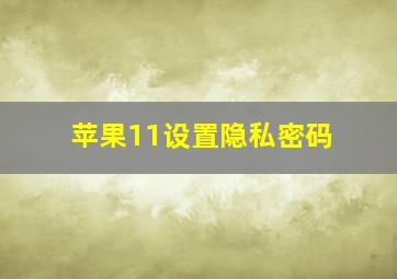 苹果11设置隐私密码