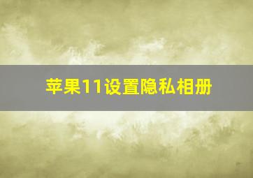 苹果11设置隐私相册