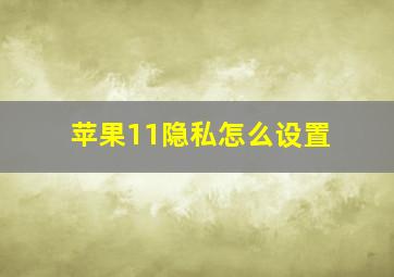 苹果11隐私怎么设置