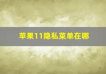 苹果11隐私菜单在哪