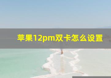 苹果12pm双卡怎么设置