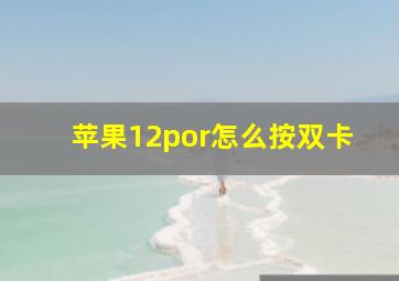 苹果12por怎么按双卡