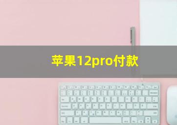 苹果12pro付款