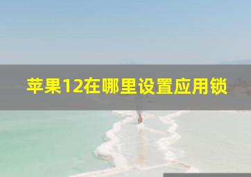 苹果12在哪里设置应用锁