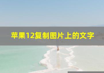 苹果12复制图片上的文字