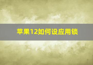 苹果12如何设应用锁