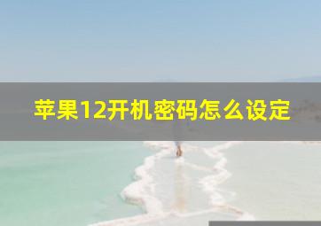 苹果12开机密码怎么设定