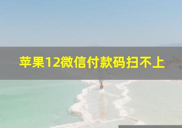 苹果12微信付款码扫不上