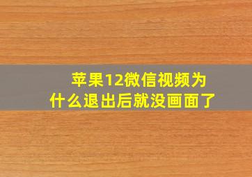 苹果12微信视频为什么退出后就没画面了