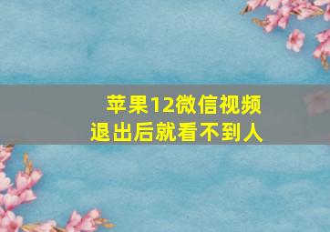 苹果12微信视频退出后就看不到人