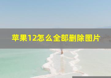 苹果12怎么全部删除图片